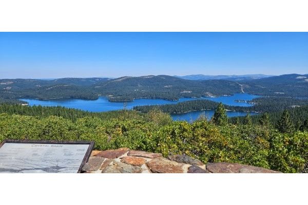 NWTF’s Ongoing Commitment to Forest Restoration in the Sierra Nevada