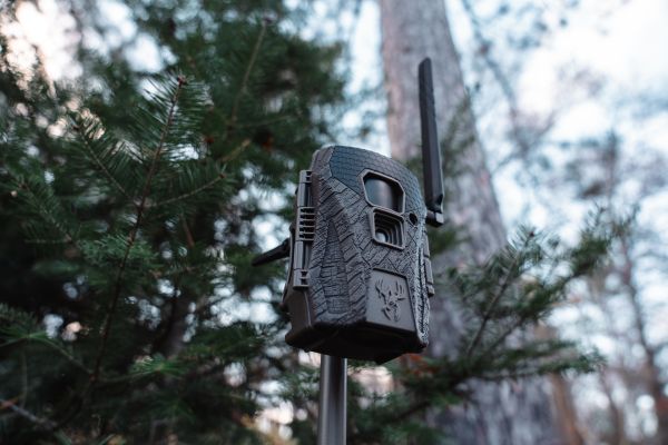 Wildgame Innovations Unveils Terra XT 2.0 Cellular Trail Camera with On Demand Image Capture