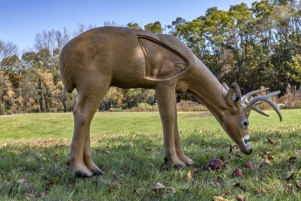 RINEHART TARGETS® SIGNATURE BROADHEAD BUCK: AMERICAN-MADE DURABILITY FOR REAL-WORLD PRACTICE