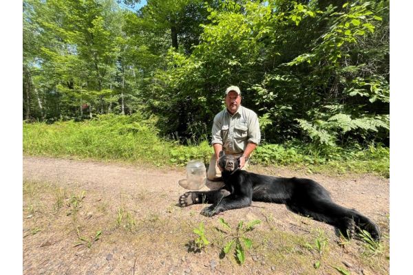 Bear With Plastic Jar On Its Head Freed In Northern Wisconsin
