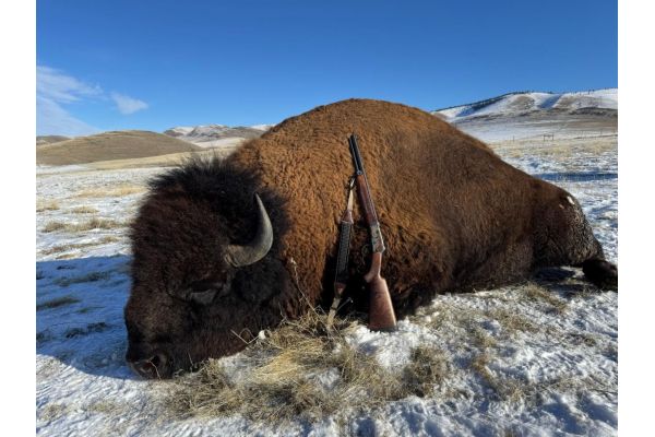 The Rise of Big-Bore Hunting: Why More Hunters Are Choosing Larger Calibers