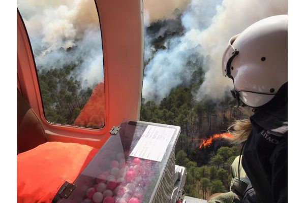 NWTF Missouri Invests in Prescribed Fire for Healthier Forests and Wildlife