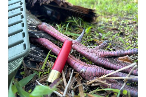NWTF Partners with Wyoming Game and Fish Department to Support Spring Wild Turkey Hunter Surveys