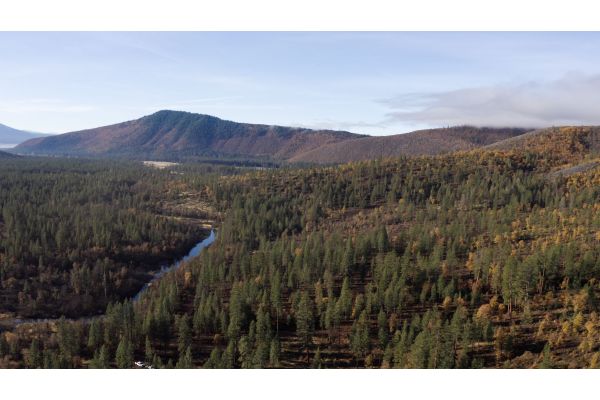 New Video Series Showcases the Mule Deer Foundation and USDA Forest Service’s Long-term Partnership
