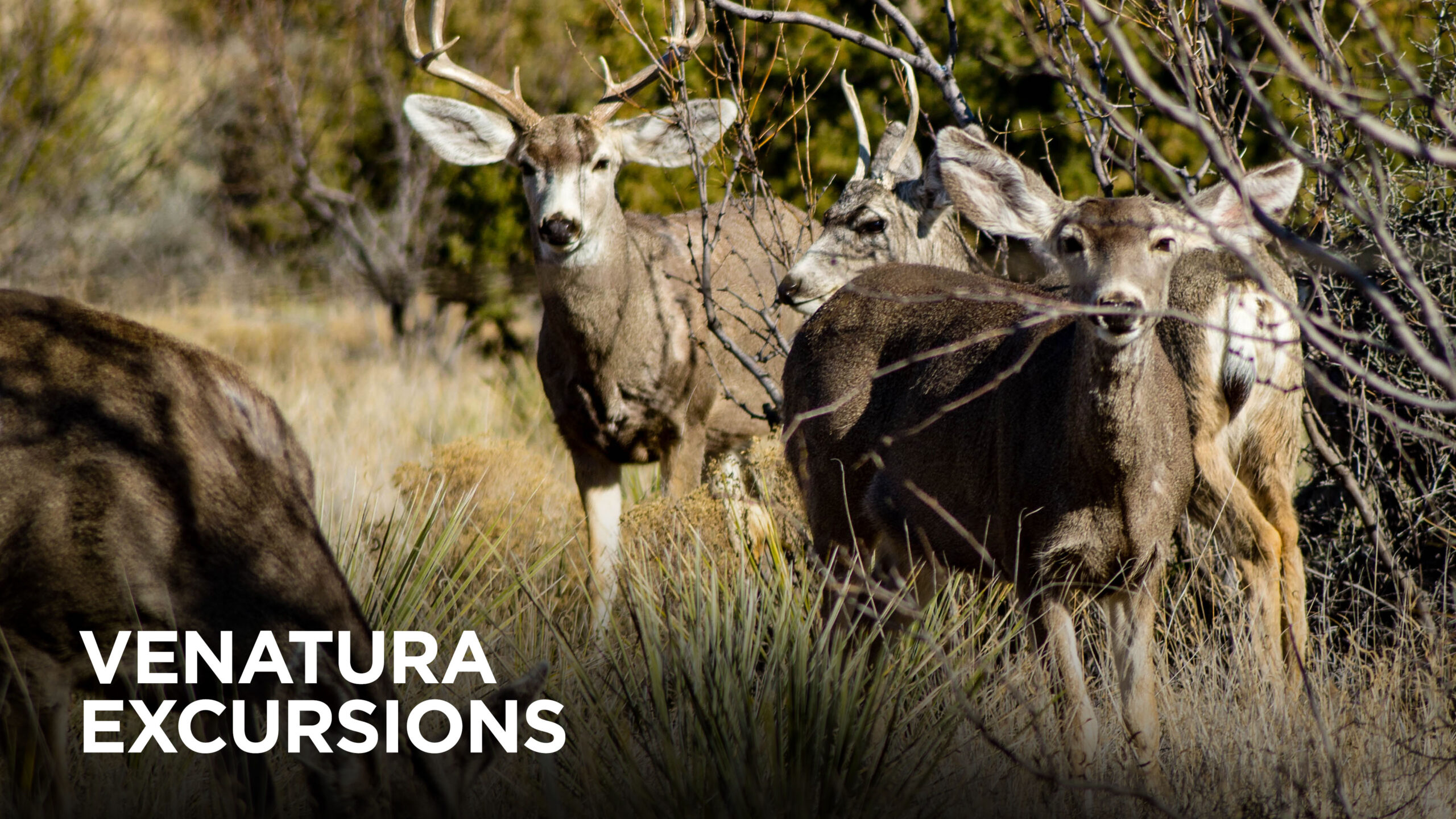 Experience the Outdoors Like Never Before with Venatura Excursions on Sportsman Channel