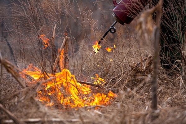 NWTF Launches Bold, New Roots to Roost Initiative