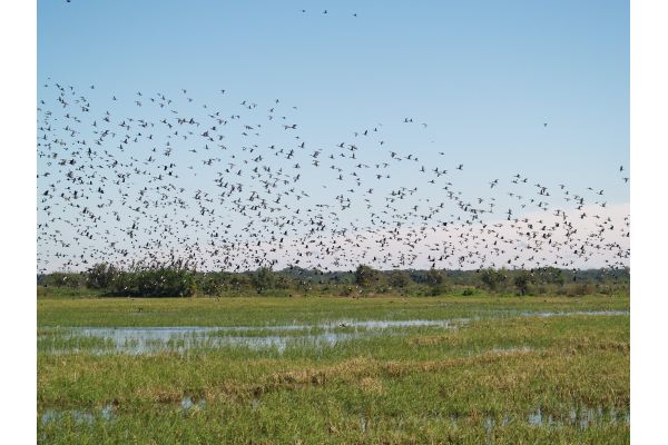 Congress fortifies hunters’ investment in conservation  Congress fortifies hunters’ investment in conservation
