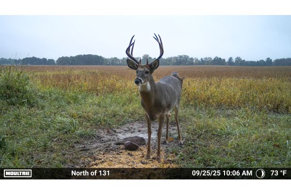 Introducing Moultrie’s Buck List: Revolutionizing Hunter Scouting
