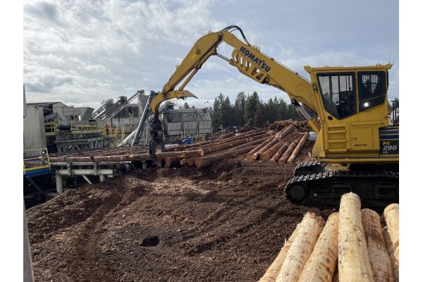 NWTF Launches Innovative Wood Utilization Specialist Role NWTF Launches Innovative Wood Utilization Specialist Role