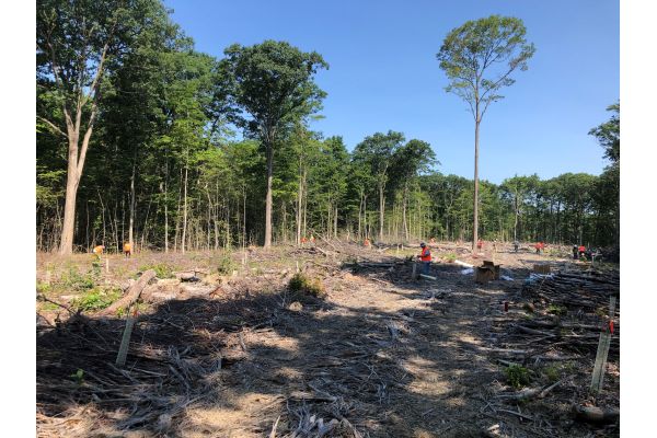 Partnerships Continue to Help Conserve the Finger Lakes National Forest Partnerships Continue to Help Conserve the Finger Lakes National Forest