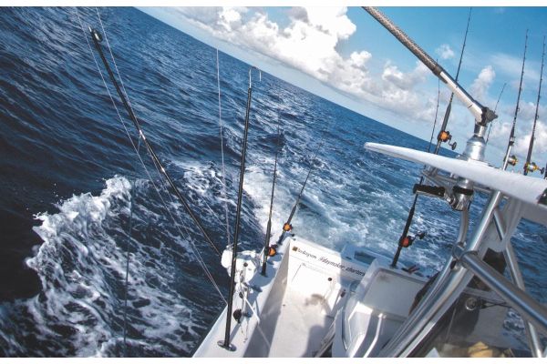 Gear Up for Big Pelagic Action: The Complete Dredge Boom Setup from Tigress Outriggers & Gear Gear Up for Big Pelagic Action: The Complete Dredge Boom Setup from Tigress Outriggers & Gear