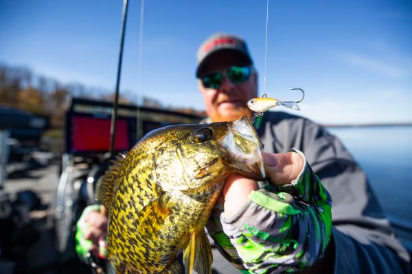   Big Bite & Northland New Products – Now Shipping