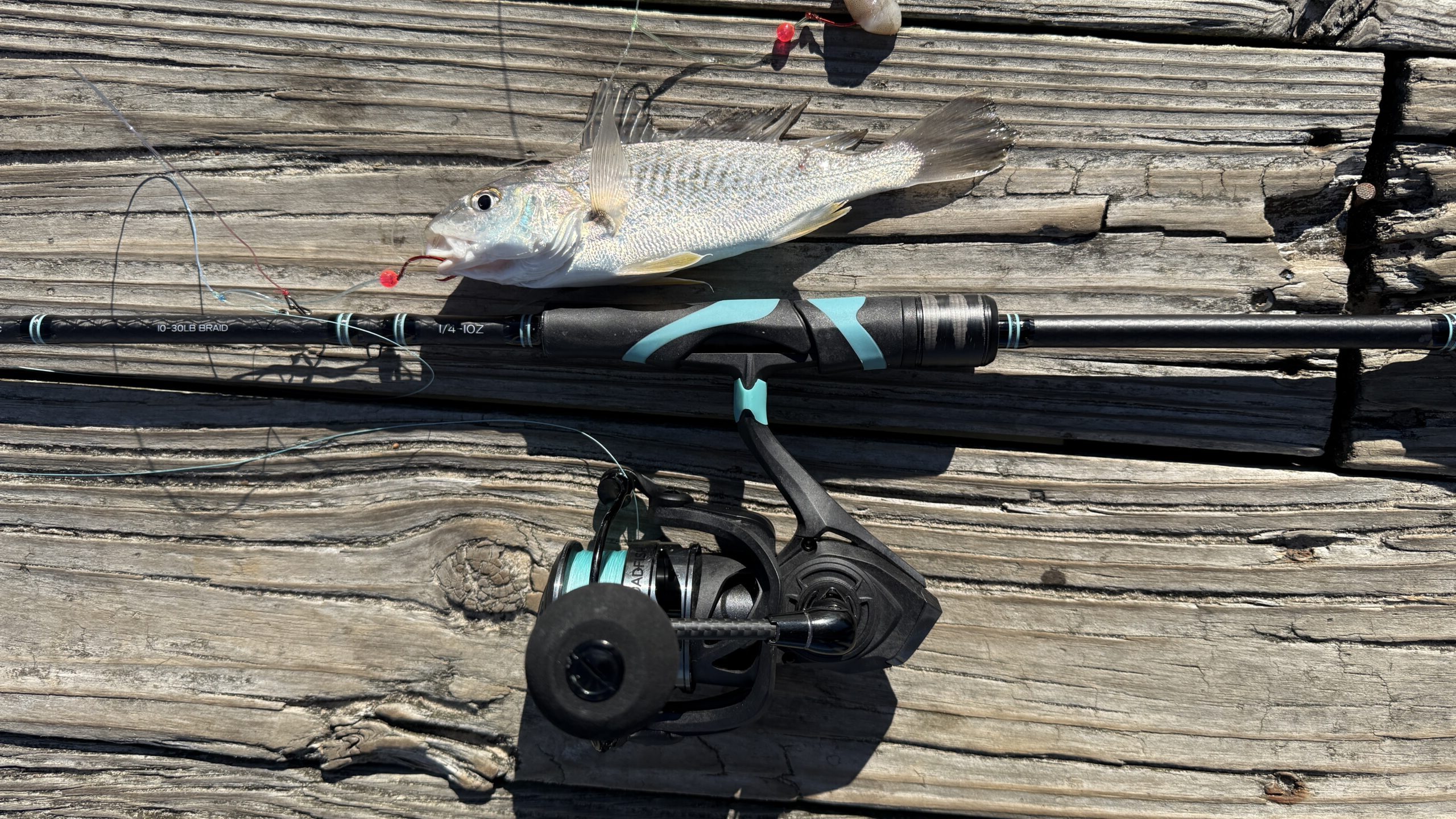 Toadfish Combo Review: Premium Travel Fishing Gear for Inshore Anglers