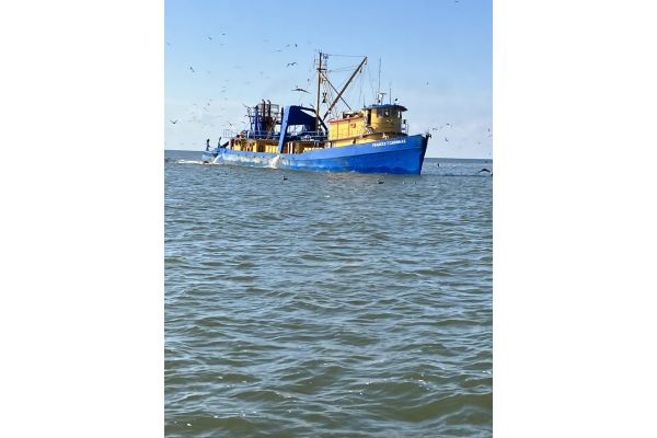 Louisiana Decision Undermines Hard-Won Conservation Measure on Menhaden Fishing