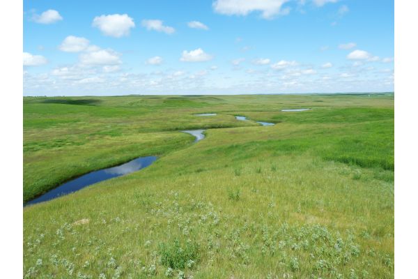 NWTF Waterways for Wildlife Initiative Opens Fifth Year of Conservation Funding