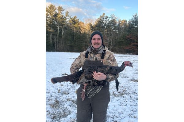 NWTF Supports New Rhode Island Research Project Focused on Wild Turkey Disease
