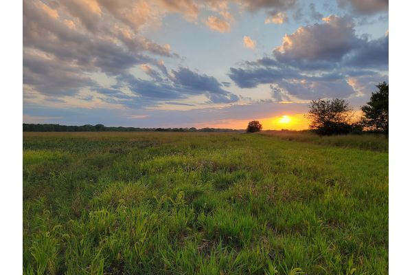 Southern Iowa Wildlife Gain Nearly 350 Acres of Upland Habitat