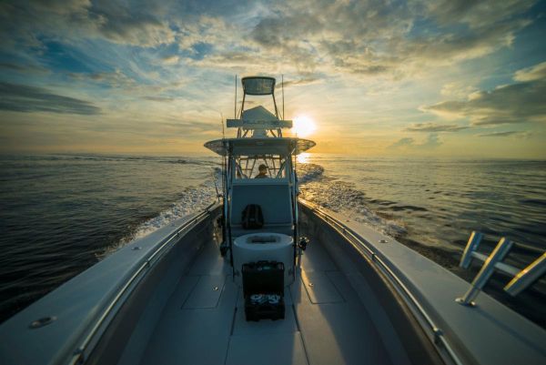 Pro Tips from Tigress: How to Prep Kite Fishing Gear for the Off-Season