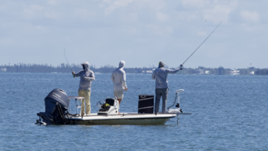 Fly Fishing for Tarpon