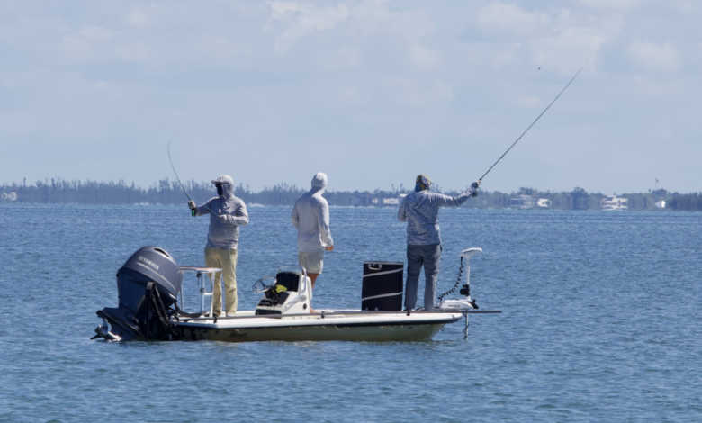 Fly Fishing for Tarpon
