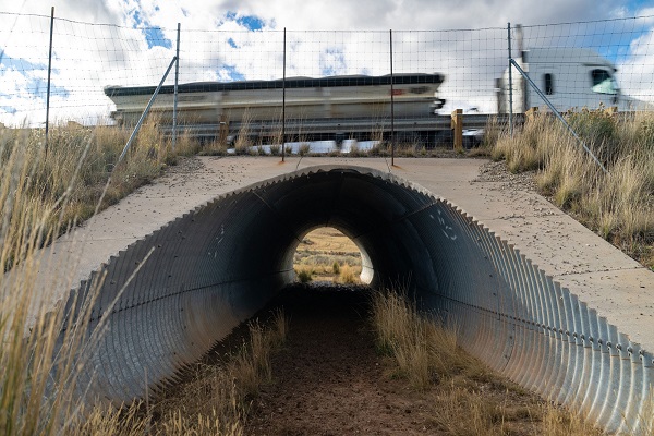 Mule Deer Foundation Applauds Passage of Utah H.B. 431 Supporting Wildlife Crossings and Migration Connectivity